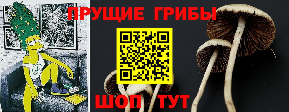 Галлюциногенные грибы мухоморы Петрозаводск